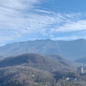 Meet your Posher, Abbi